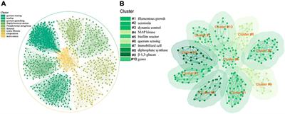Quorum sensing: cell-to-cell communication in Saccharomyces cerevisiae
